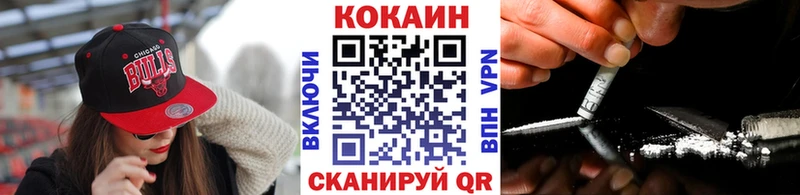 Купить закладки  Черепаново  Cocaine Fish Scale 